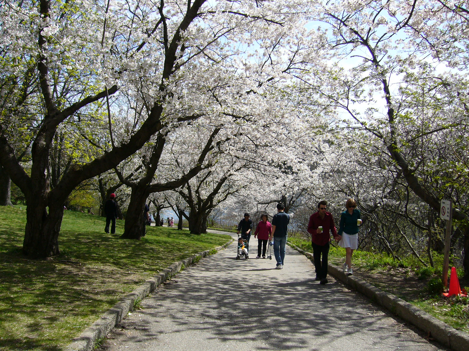 High Park