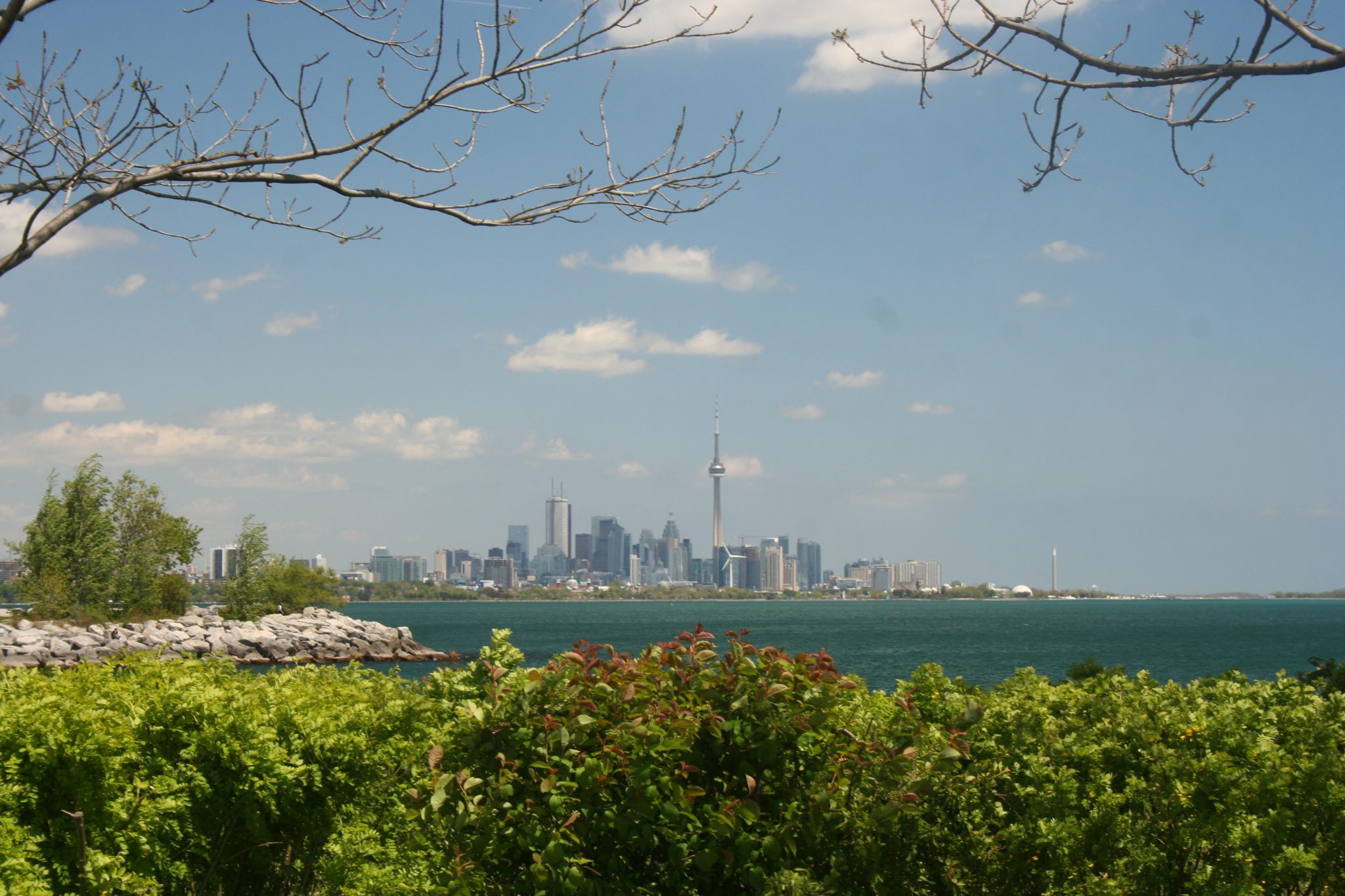 Mimico