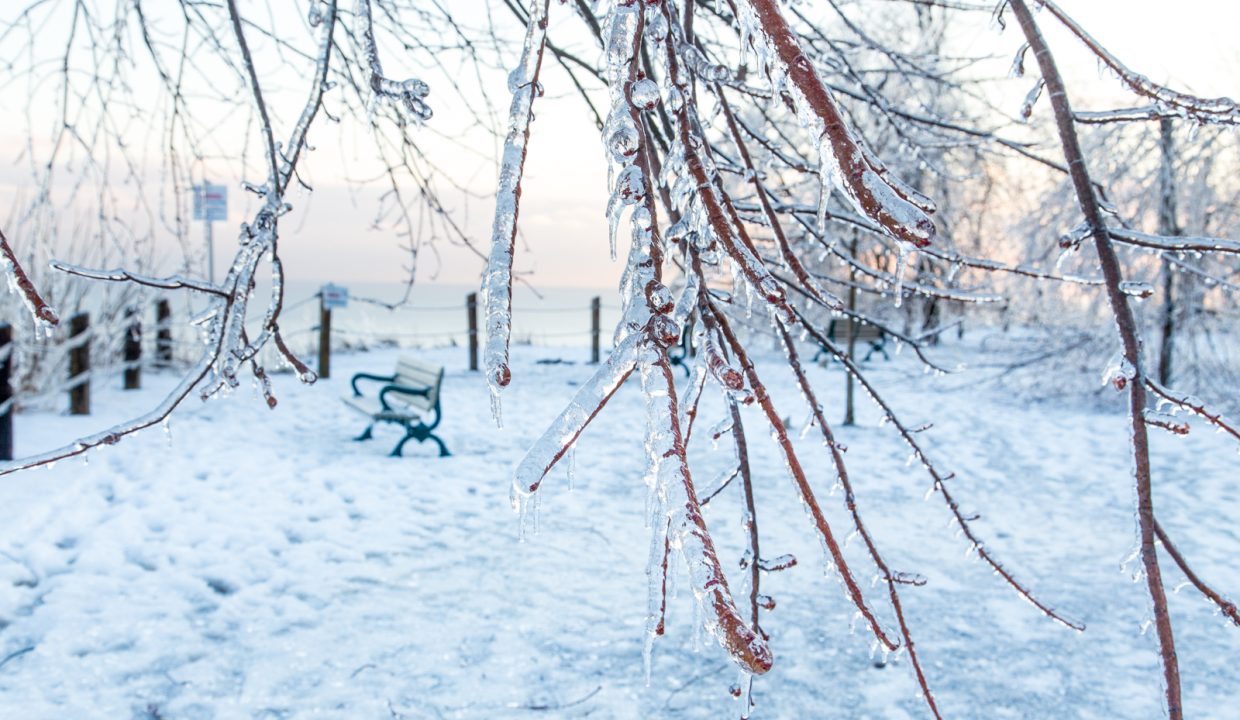 Toronto Ice Storm